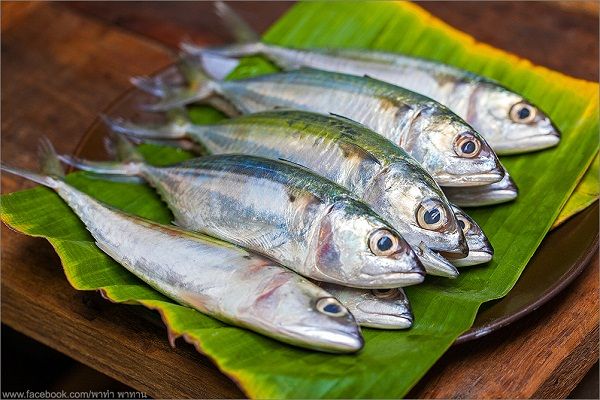 Panduan Memilih Bahan Baku Segar untuk Masakan Sehari-hari